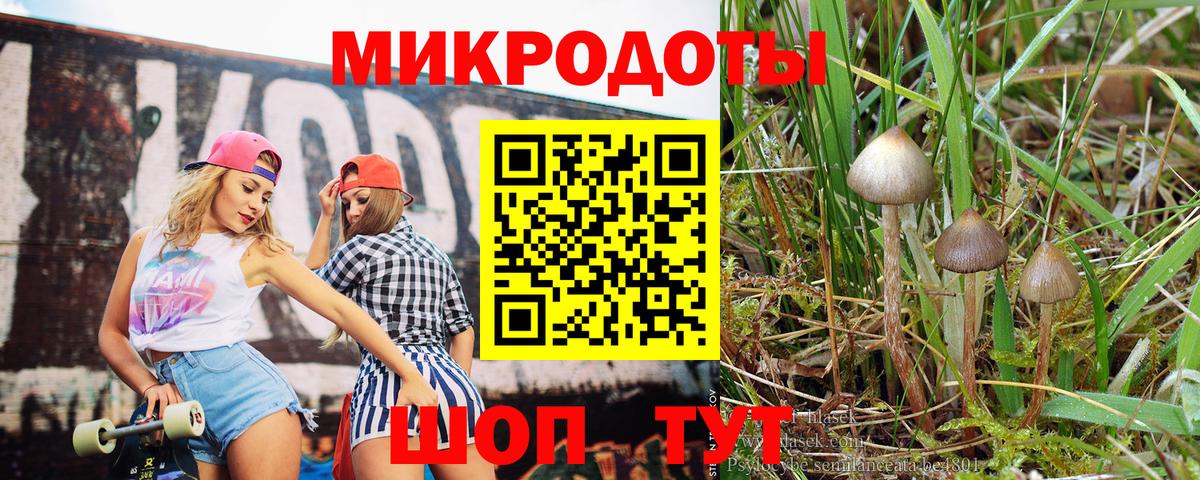Псилоцибиновые грибы GOLDEN TEACHER  Вход с VPN  Якутск 